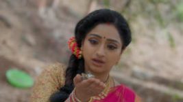 Trinayani (Kannada) S01E142 13th August 2021 Full Episode