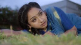 Trinayani (Kannada) S01E224 3rd November 2021 Full Episode