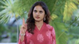 Trinayani (Kannada) S01E229 8th November 2021 Full Episode