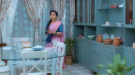 Trinayani (Kannada) S01E234 13th November 2021 Full Episode