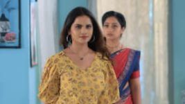 Trinayani (Kannada) S01E237 16th November 2021 Full Episode