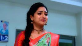 Trinayani (Kannada) S01E273 22nd December 2021 Full Episode