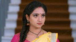 Trinayani (Kannada) S01E298 16th January 2022 Full Episode