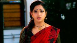 Trinayani (Kannada) S01E310 28th January 2022 Full Episode