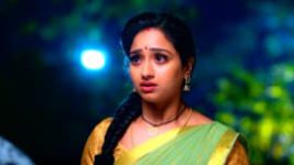 Trinayani (Kannada) S01E312 30th January 2022 Full Episode