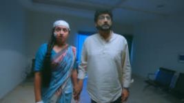 Trinayani (Kannada) S01E322 9th February 2022 Full Episode