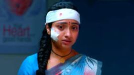 Trinayani (Kannada) S01E330 17th February 2022 Full Episode