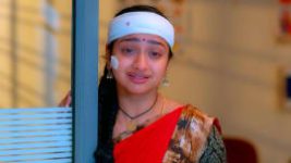 Trinayani (Kannada) S01E333 20th February 2022 Full Episode