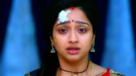 Trinayani (Kannada) S01E334 21st February 2022 Full Episode