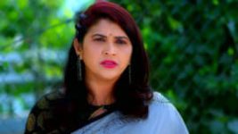 Trinayani (Kannada) S01E337 24th February 2022 Full Episode