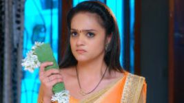 Trinayani (Kannada) S01E342 1st March 2022 Full Episode