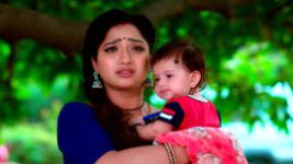 Trinayani (Telugu) S01 E773 16th November 2022