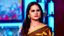 Vaidehi Parinayam S01 E462 19th November 2022