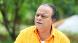Velaikkaran (Star vijay) S01E217 Singa Perumal's Evil Move Full Episode