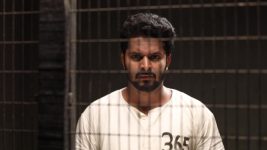 Velaikkaran (Star vijay) S01E235 Diwakar to Hurt Velan? Full Episode