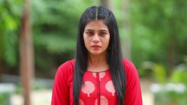 Velaikkaran (Star vijay) S01E237 Nanditha at Velan's House Full Episode