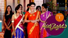 Akka Mogudu S01E01 28th May 2018 Full Episode