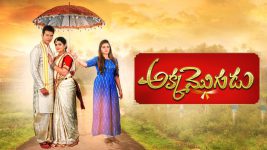 Akka Mogudu S01E166 14th January 2019 Full Episode