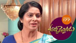 Akka Mogudu S01E177 29th January 2019 Full Episode