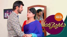 Akka Mogudu S01E183 6th February 2019 Full Episode