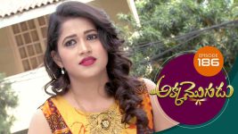 Akka Mogudu S01E186 11th February 2019 Full Episode