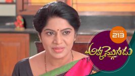 Akka Mogudu S01E213 20th March 2019 Full Episode