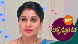 Akka Mogudu S01E217 26th March 2019 Full Episode