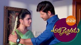 Akka Mogudu S01E222 2nd April 2019 Full Episode