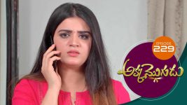 Akka Mogudu S01E229 11th April 2019 Full Episode