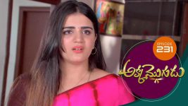 Akka Mogudu S01E231 15th April 2019 Full Episode