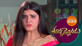 Akka Mogudu S01E233 17th April 2019 Full Episode