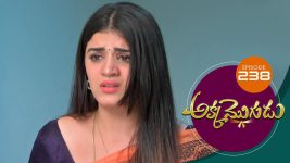 Akka Mogudu S01E238 24th April 2019 Full Episode