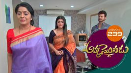 Akka Mogudu S01E239 25th April 2019 Full Episode