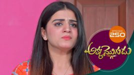 Akka Mogudu S01E249 10th May 2019 Full Episode