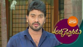 Akka Mogudu S01E252 13th May 2019 Full Episode