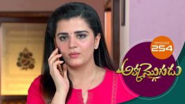 Akka Mogudu S01E254 16th May 2019 Full Episode