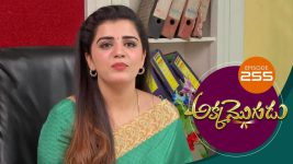 Akka Mogudu S01E255 17th May 2019 Full Episode