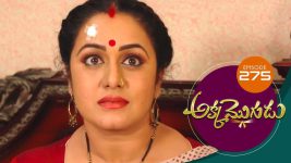 Akka Mogudu S01E274 14th June 2019 Full Episode