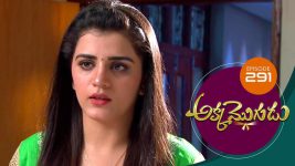 Akka Mogudu S01E291 8th July 2019 Full Episode