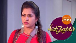 Akka Mogudu S01E299 18th July 2019 Full Episode