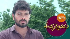 Akka Mogudu S01E323 21st August 2019 Full Episode