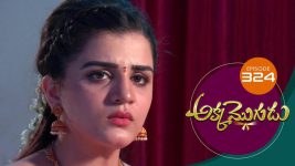 Akka Mogudu S01E324 22nd August 2019 Full Episode