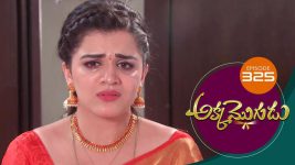 Akka Mogudu S01E325 23rd August 2019 Full Episode