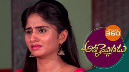 Akka Mogudu S01E360 8th October 2019 Full Episode