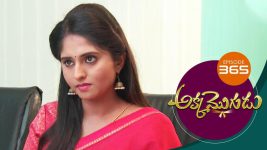 Akka Mogudu S01E365 14th October 2019 Full Episode