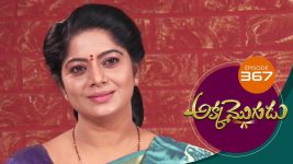 Akka Mogudu S01E367 16th October 2019 Full Episode