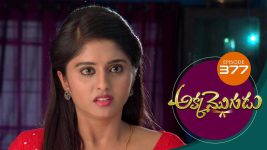 Akka Mogudu S01E377 28th October 2019 Full Episode