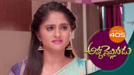 Akka Mogudu S01E405 29th November 2019 Full Episode