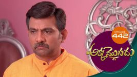 Akka Mogudu S01E442 11th January 2020 Full Episode