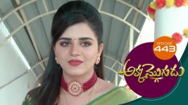 Akka Mogudu S01E443 13th January 2020 Full Episode